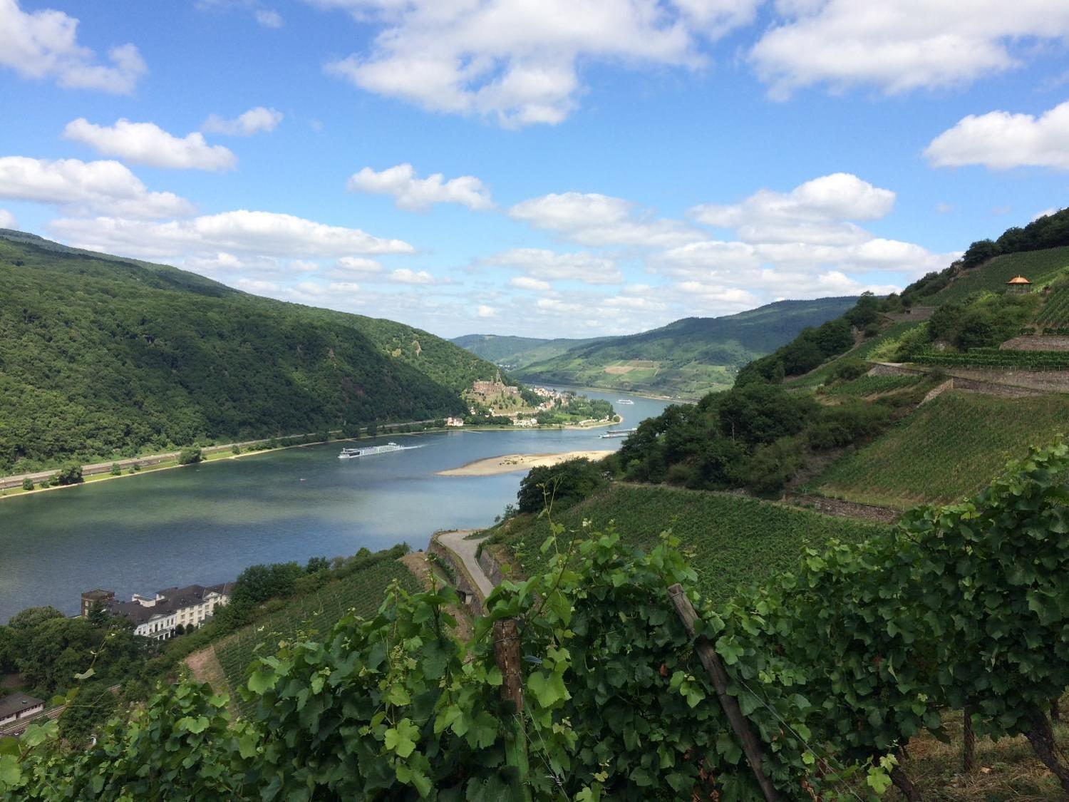 Winzerhof Ross & Rose Hotel Trechtingshausen ภายนอก รูปภาพ