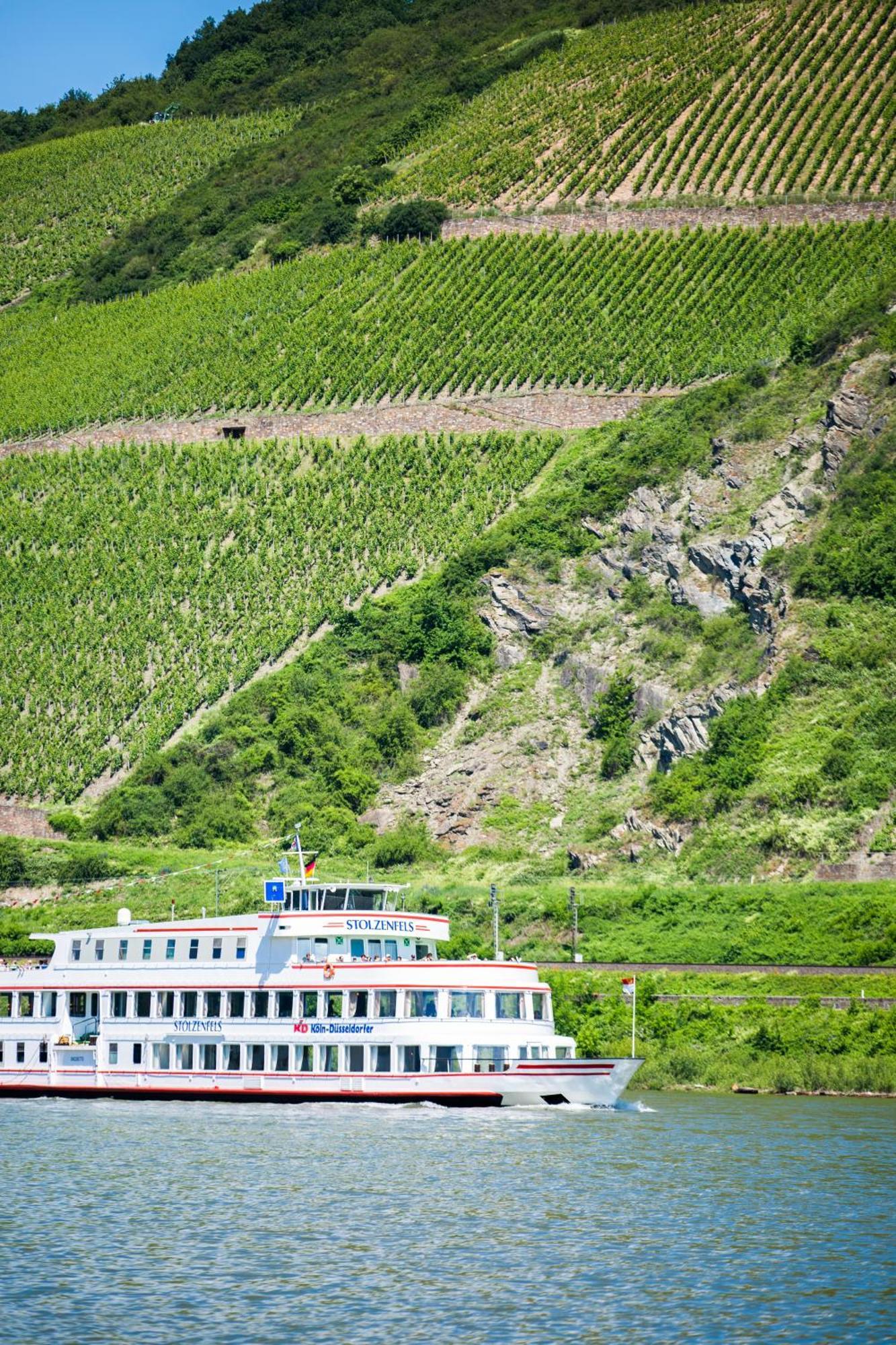 Winzerhof Ross & Rose Hotel Trechtingshausen ภายนอก รูปภาพ